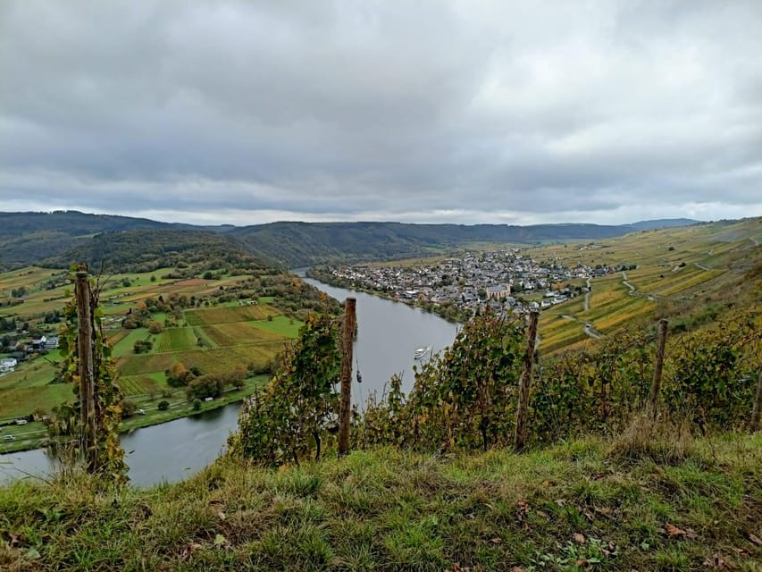 Kröv, Mosel: Covered wagon ride through the vineyards with wine tasting - Sip first: StartSecco and the 7-wine tasting flow