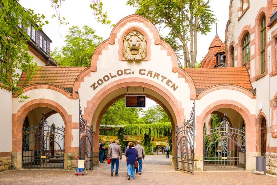 Leipzig: 1-Day Hop-On Hop-Off Bus and Leipzig Zoo Ticket - Leipzig Zoo at a glance: 900+ species and six themed worlds