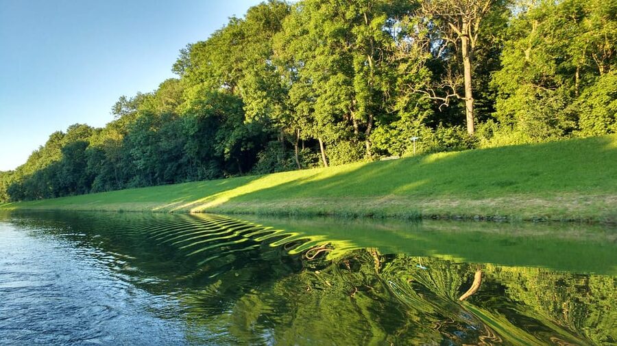Leipzig: 2-hour Auwald Motorboat Tour - Leipzig Auwald by boat: quiet nature time close to everything