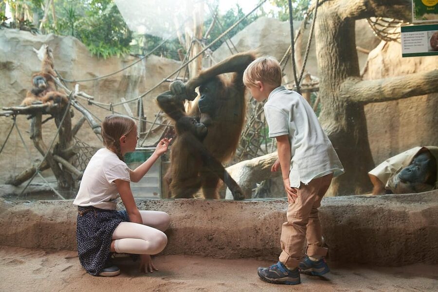 Leipzig Zoo: Entry Ticket - Practical Tips: Shoes, Rules, and Comfort