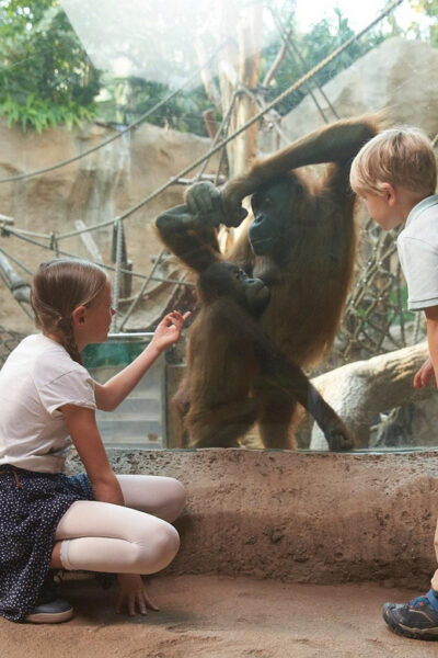 Leipzig Zoo: Entry Ticket