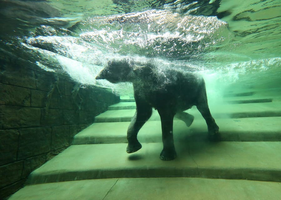 Leipzig Zoo: Entry Ticket - How Long Should You Plan, and What Route Makes Sense?