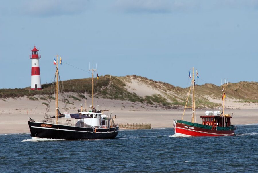 List/Sylt: Guided Seal-Watching Cruise on a Rustic Boat - When Seals Are Most Likely: Tide Timing Is the Real “Schedule”