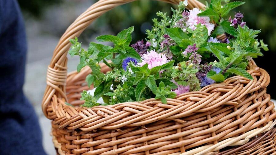 Meißen: Guided Walking Tour 'Romantic Evening Stroll' - The romantic timing: why evenings tend to work best