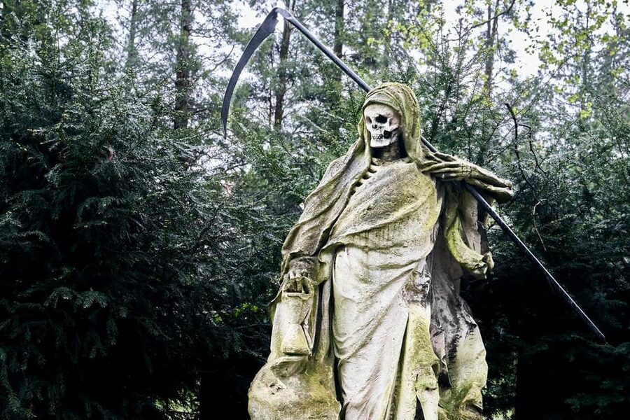 Melaten Friedhof: Guided tour with all senses - Why Melaten Friedhof Feels Like Cologne, Not a Cemetery Theme Park