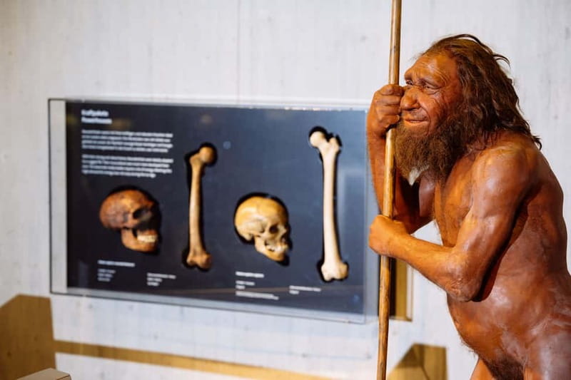 Mettmann: Neanderthal Museum Admission Ticket - Key Takeaways Before You Go