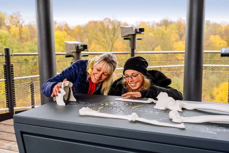 Mettmann: Neanderthal Museum Admission Ticket - The Tower Roof, 360º Burial Video, and the Climbing Tunnel
