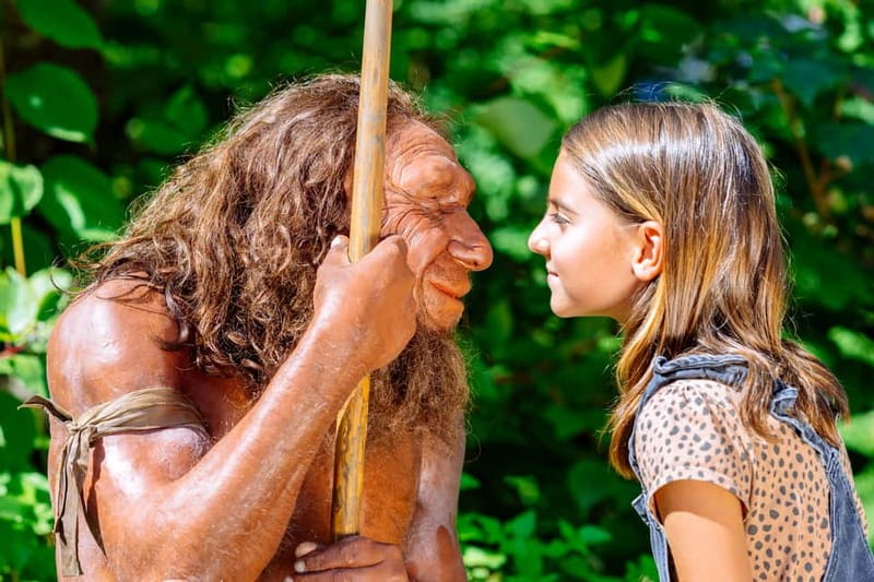 Mettmann: Neanderthal Museum Admission Ticket - Stepping Into 4 Million Years of Human History Indoors