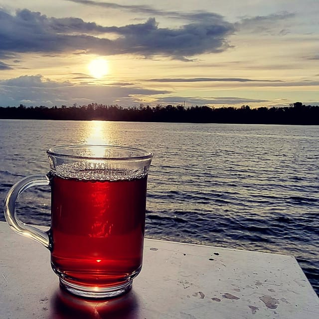 Mulled wine ride in the Leipzig New Zealand - Key things to know
