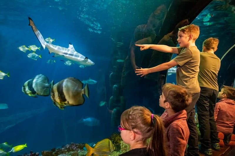 Munich: Day Ticket to Sea Life - Key things to know before you go