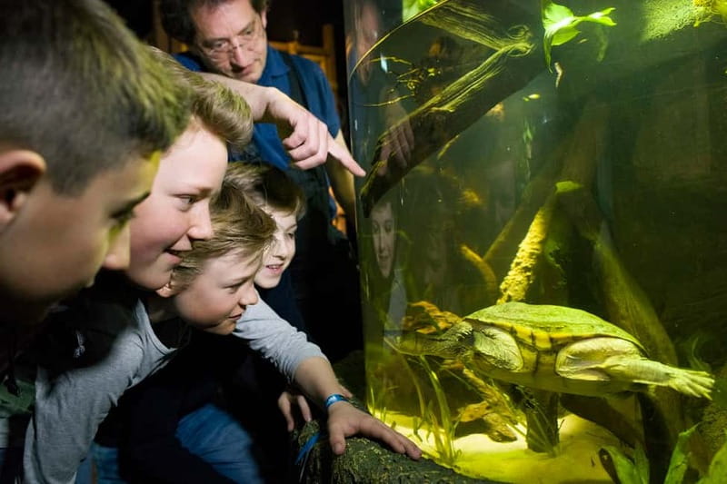 Munich: Day Ticket to Sea Life - The 8-meter ocean tunnel: where you stop and look up