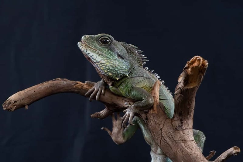 Munich: Day Ticket to Sea Life - Daily feedings: practical facts that make the tanks stick