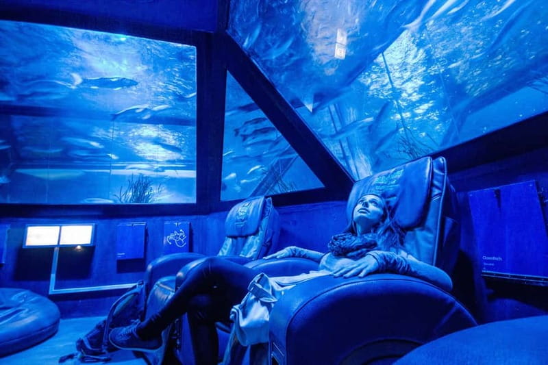 Munich: Day Ticket to Sea Life - Price and value for a Munich day ticket at about $21