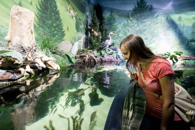 Munich: Day Ticket to Sea Life - Who this fits best, and who might want a different plan