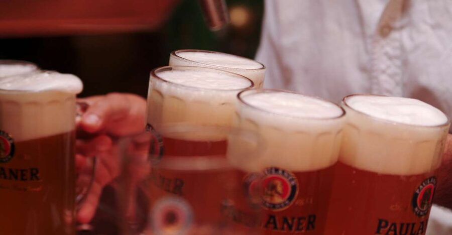 Munich's Beer Halls and Breweries: 3-Hour Guided Tour - Hofbräuhaus: your 0.5L toast in a beer hall built for crowds