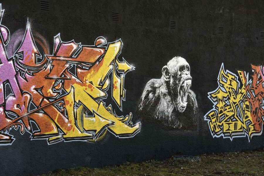 Munich: Street Art Bike Tour - The Spotting Game: Colors, Artists, And The Fun Part Of Learning