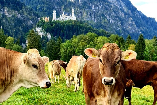 Neuschwanstein Castle, Ettal Abbey and Oberammergau Private Tour from Munich - Transport and pacing: what the 9.5 hours really means