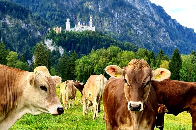 Neuschwanstein Castle Tour with Skip the Line from Hohenschwangau - Inside Neuschwanstein: guided storytelling plus the castle’s group flow