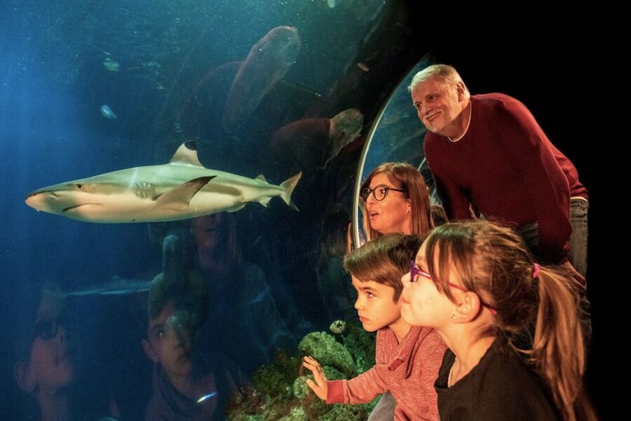 Oberhausen: LEGOLAND Discovery Centre and SEA LIFE Ticket - Where MINILAND fits: seeing the Ruhr region made of LEGO