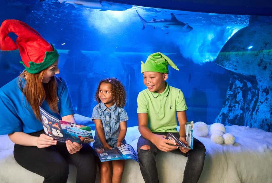 Oberhausen: SEA LIFE Oberhausen Entry Ticket - Should you book the SEA LIFE Oberhausen entry ticket?