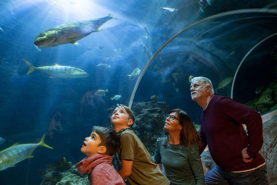 Oberhausen: SEA LIFE Ticket and Behind the Scenes Tour - The Feeding Moment: Food Prep and Bowl Time