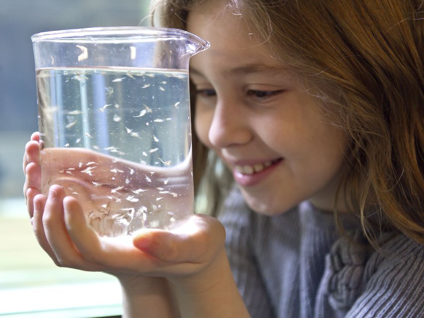 Oberhausen: SEA LIFE Ticket and Behind the Scenes Tour - The Microscope Look in the Aquarium Laboratory