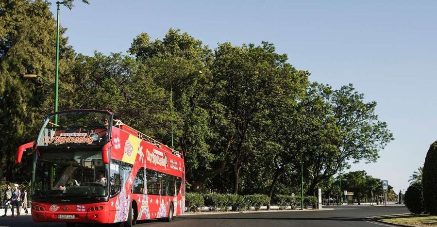 Potsdam: City Sightseeing Hop-On Hop-Off Bus Tour - Luisenplatz to the City-Center Loop: Getting Oriented Fast