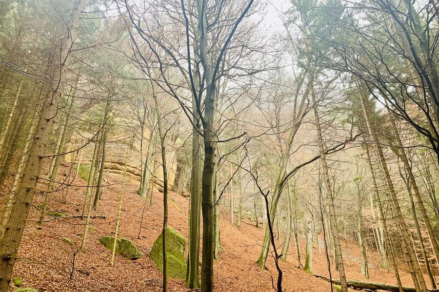 Prague: All-inclusive trip to Bohemian and Saxon Switzerland - Tisa Walls and the Narnia Tour: The Sandstone Pillars You Came For