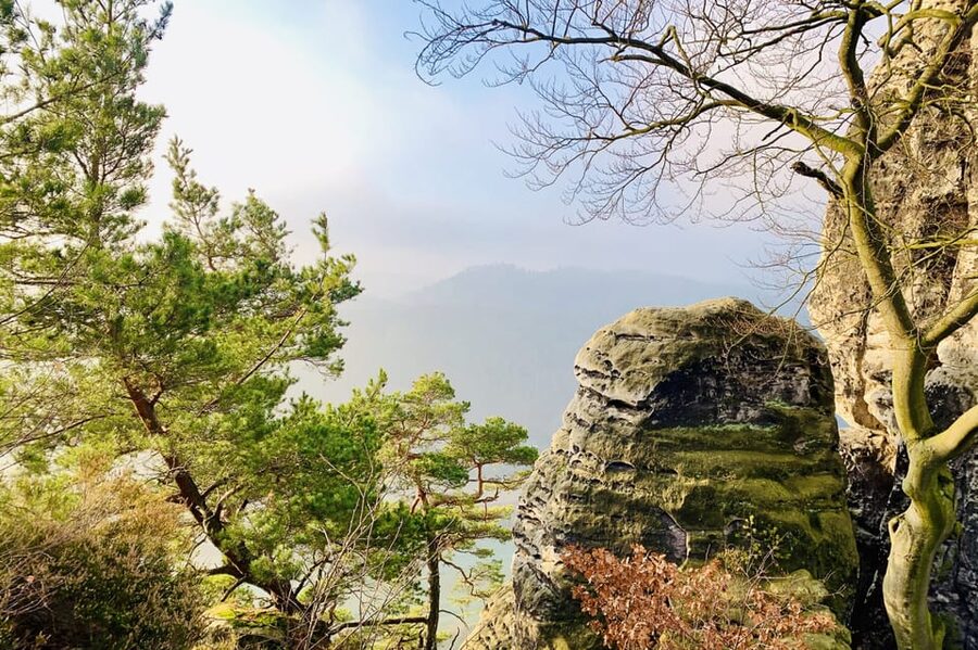 Prague: All-inclusive trip to Bohemian and Saxon Switzerland - Guides, Vans, and the Small-Group Advantage