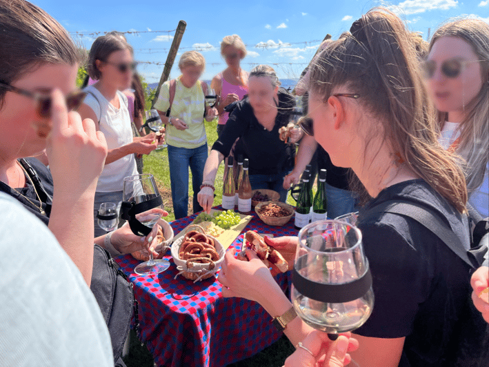 Premium wine hike Stuttgart with games and winemaker's snack - Options for non-drinkers, vegan snacks, and weather-proof comfort