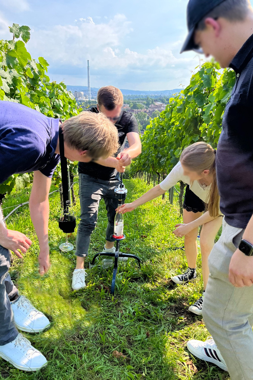 Premium wine hike Stuttgart with games and winemaker's snack - Who should book this Stuttgart wine hike, and who might want something else