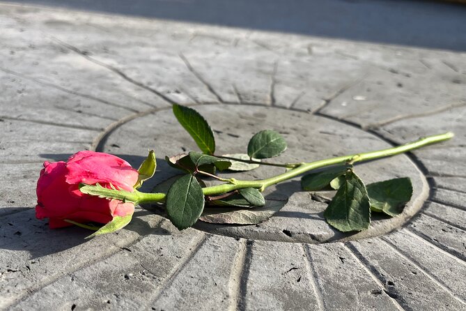 Private Dachau Concentration Camp Memorial Site Tour from Munich - Should You Book It?