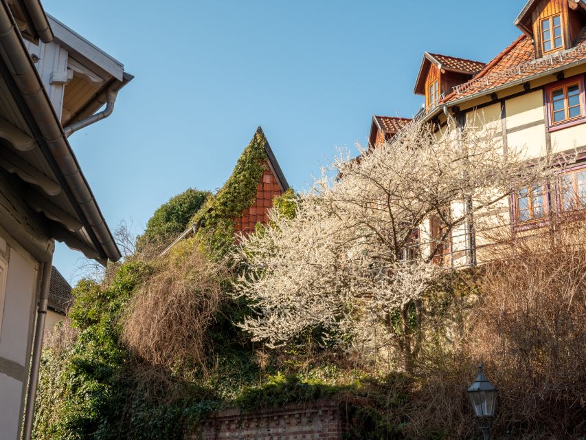 Quedlinburg: Guided City Highlights Walking Tour - Starting at Market Square: the easiest place to begin