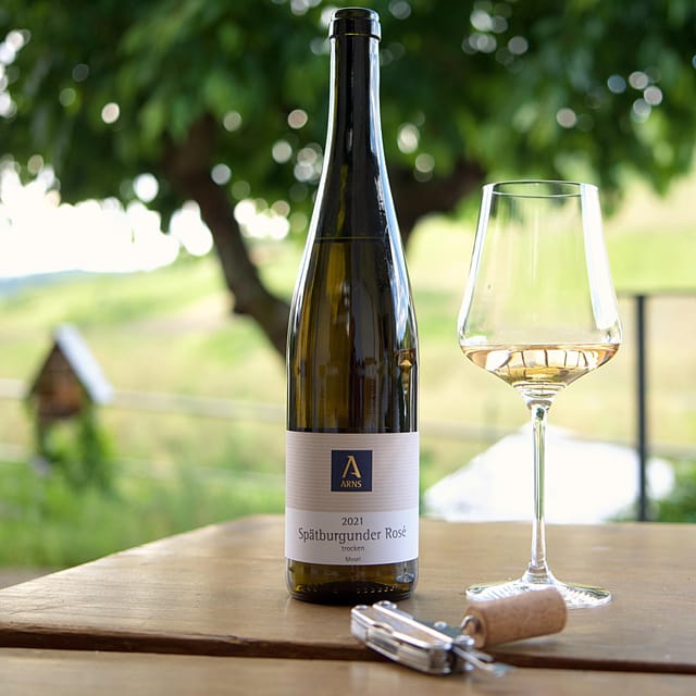 Reil, Mosel: Guided organic wine tasting and cellar tour - Value for 29 dollars in the Mosel