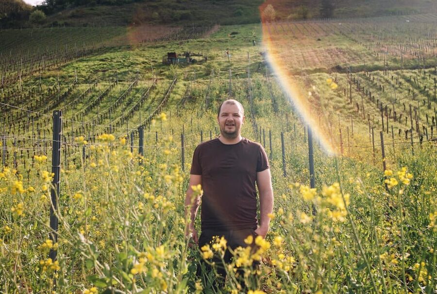Reil, Mosel: Guided organic wine tasting and cellar tour - Should you book Weingut Arns organic tasting?