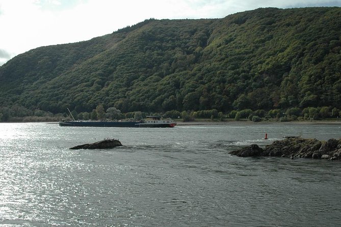 Rhine Valley Trip from Frankfurt including Rhine River Cruise - Group size, guide style, and why the guide can make or break it