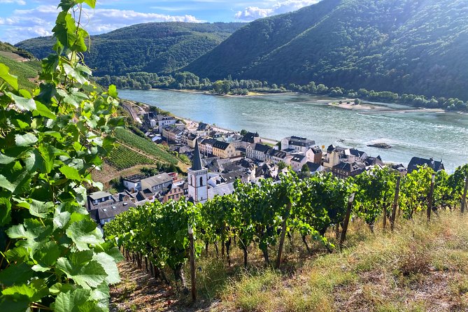 Rhine Valley Wine Tasting Tour from Frankfurt and Mainz - Key Rhine Valley Wine Tasting Tour Takeaways