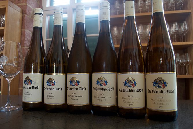 Rhine Valley Wine Tasting Tour from Frankfurt and Mainz - Why the Rhine Valley is the perfect German wine intro