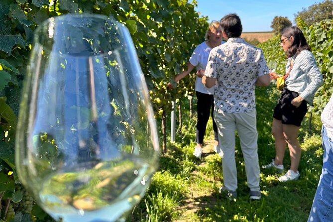 Rhine Valley Wine Tasting Tour from Frankfurt and Mainz - Lunch breaks your palate and keeps the day comfortable