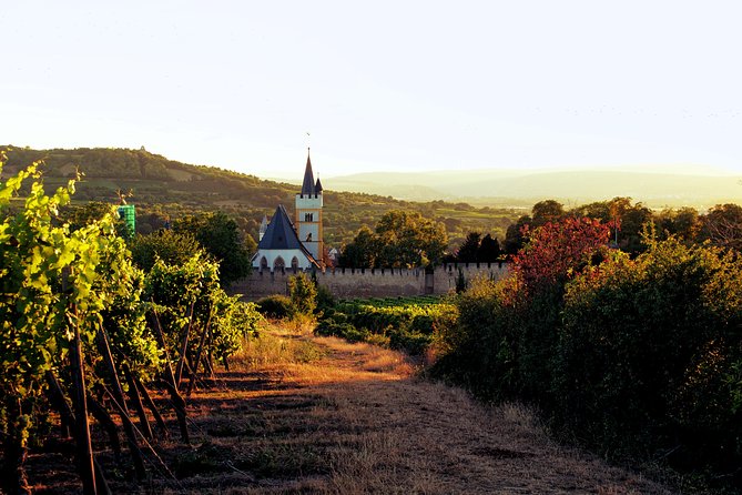 Rhine Valley Wine Tasting Tour from Frankfurt and Mainz - How Carl’s approach makes the tastings actually click