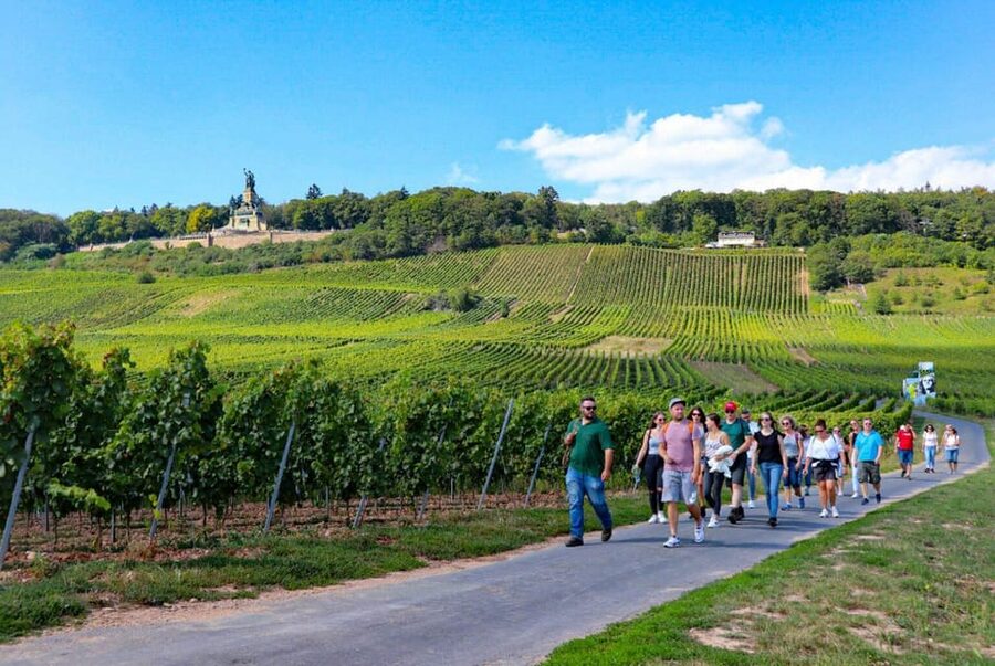 Rüdesheim - Guided wine hikes with 4wines and cable car ride - Who this tour suits best (and who should rethink it)