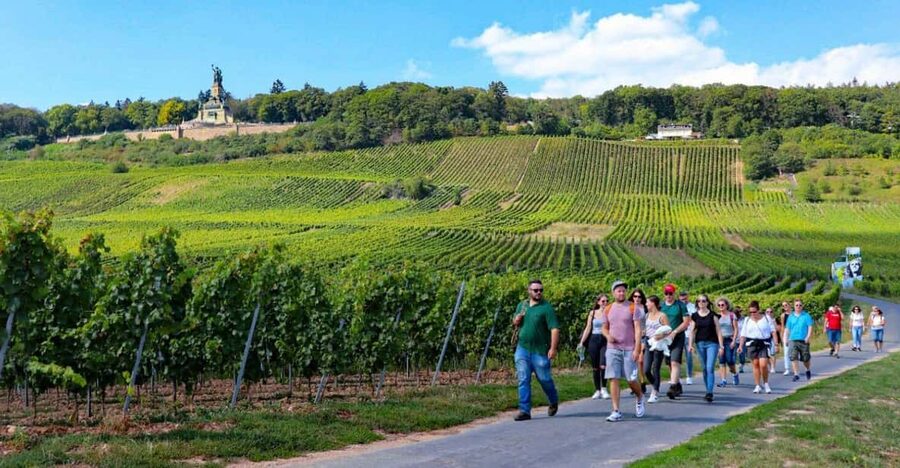 Rüdesheim - Guided wine hikes with 4wines and cable car ride - Cable car up to the Niederwald Monument: the view plus the rhythm