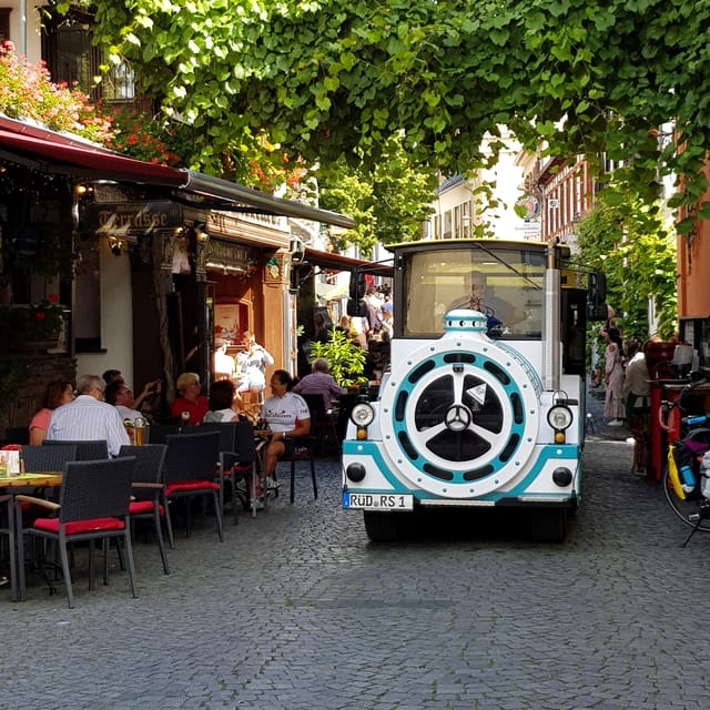 Rüdesheim sightseeing tour with the Winzerexpress - Key things to look for on this Winzerexpress ride