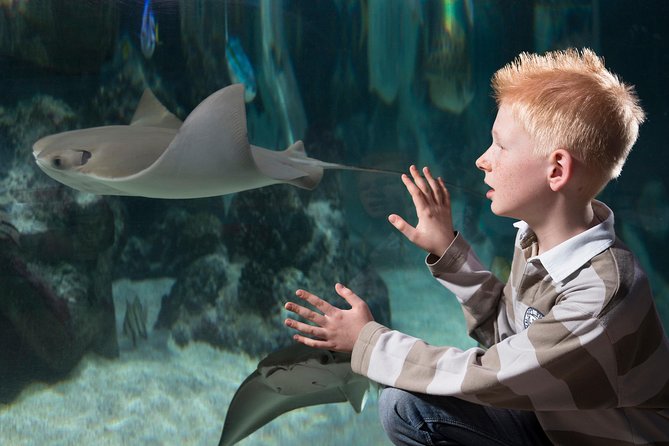 SEA LIFE Hannover Ticket - Duration, pacing, and last admission timing