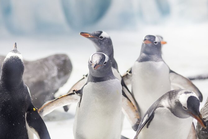 SEA LIFE Konstanz Admission Ticket - Key things you’ll notice fast