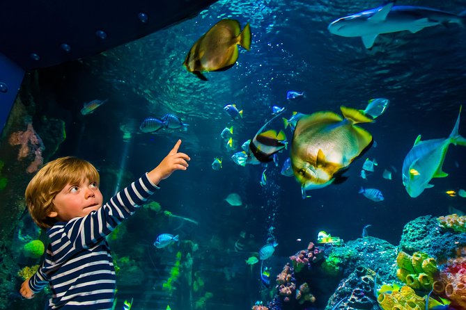 SEA LIFE Konstanz Admission Ticket - Walking the Aquarium Route: Rhine to North Sea to Antarctica