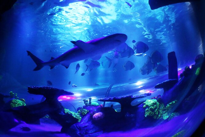 SEA LIFE Konstanz Admission Ticket - Logistics That Matter: Meeting Point, No Lockers, and Timing the Last Entry