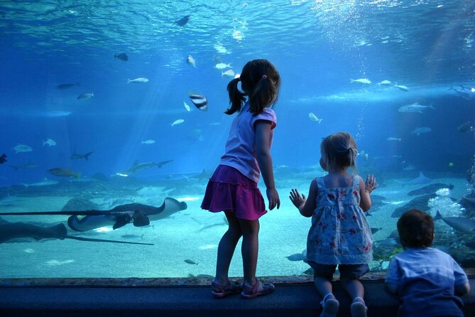 SEA LIFE Munich Admission Ticket - Quick takeaways before you go