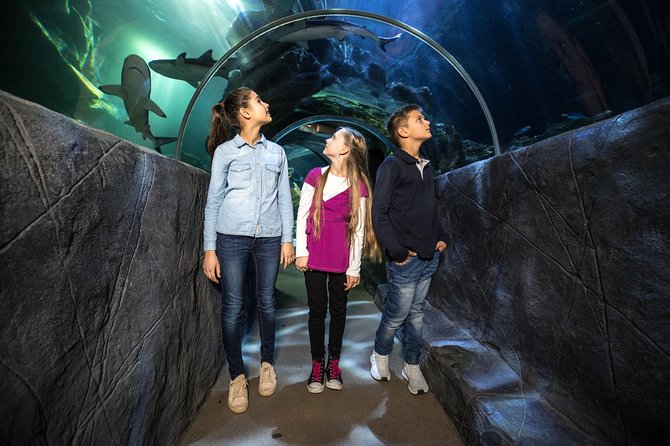 SEA LIFE Munich Admission Ticket - Family-friendly routing and kid pirate trail tricks