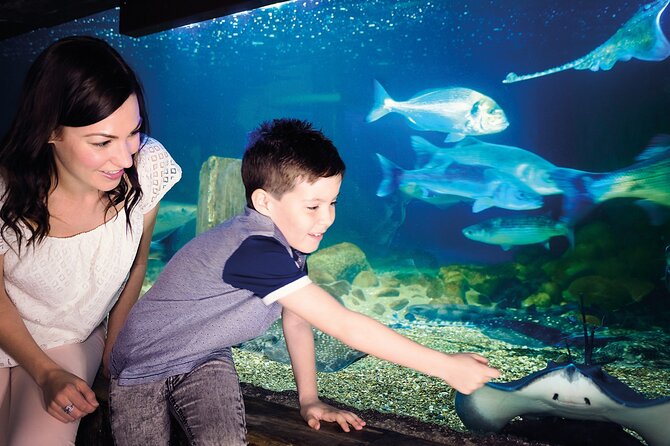 SEA LIFE Munich Admission Ticket - Who should book SEA LIFE Munich admission?